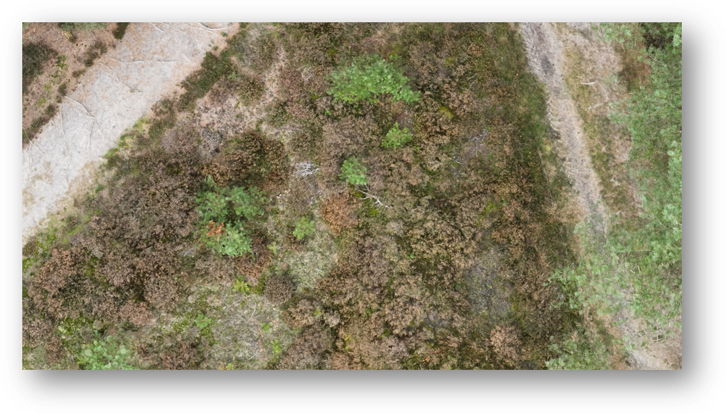 HeathClean imagery
