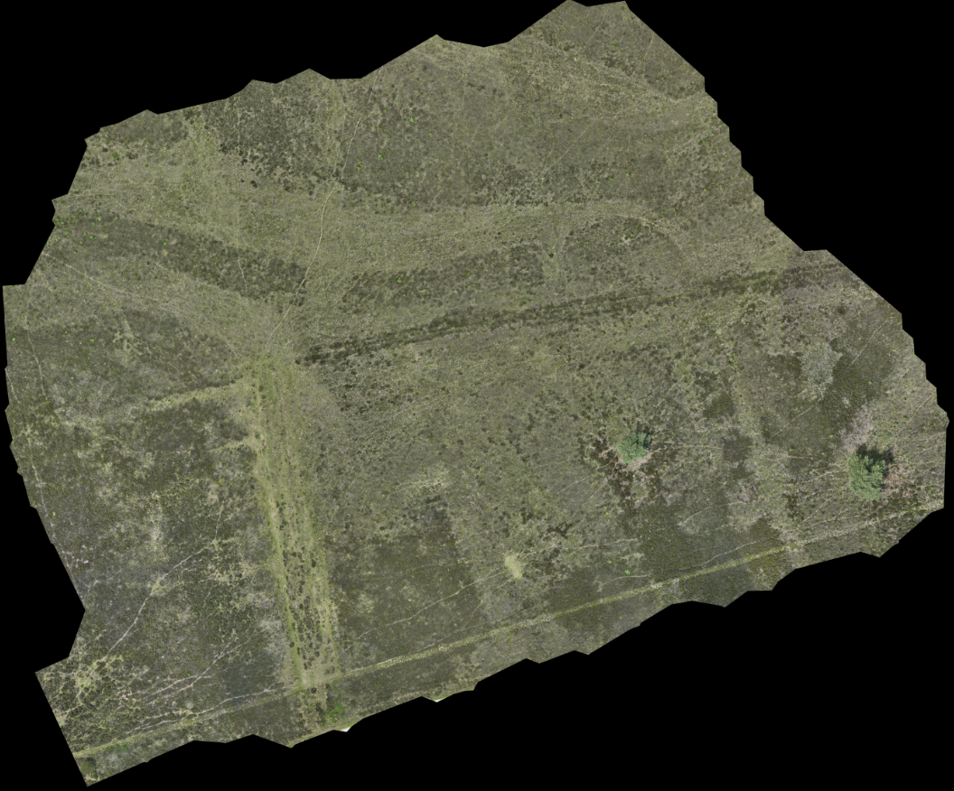 High-resolution map covering the entire site